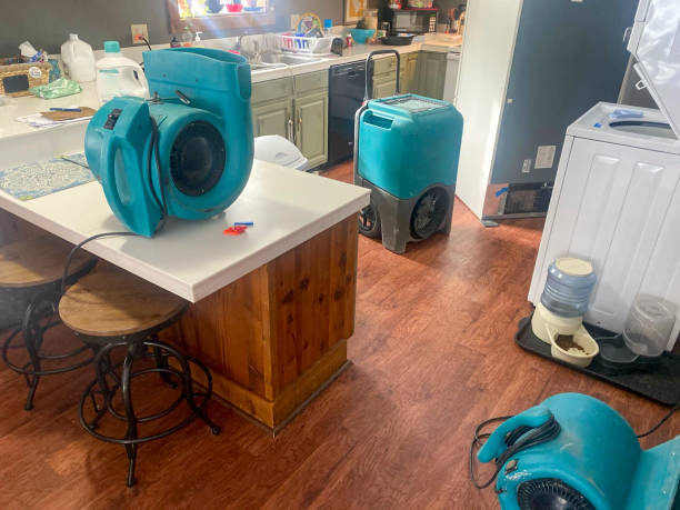 Best Basement water damage restoration  in Knightsen, CA