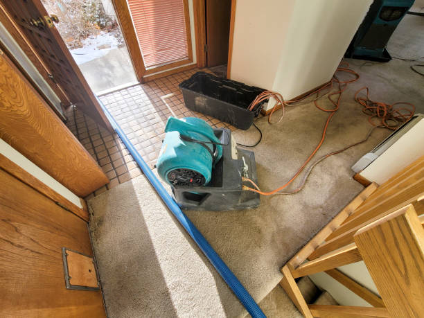 Trusted Knightsen, CA Water damage restoration Experts