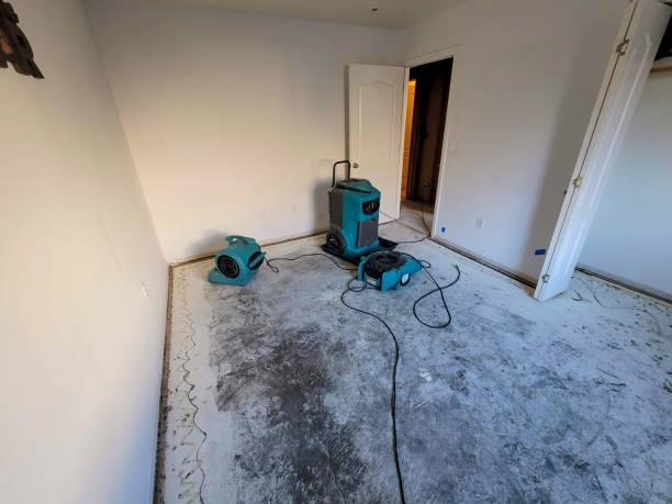 Best Fire Damage Restoration  in Knightsen, CA