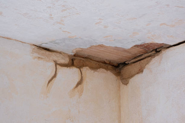 Best Water damage restoration near me  in Knightsen, CA