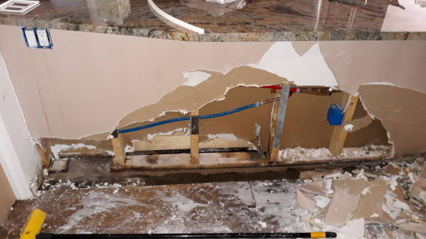Best Water damage contractors near me  in Knightsen, CA