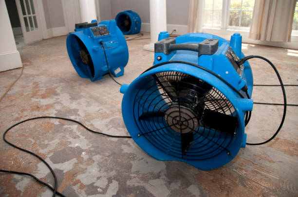 Best Water damage cleanup near me  in Knightsen, CA