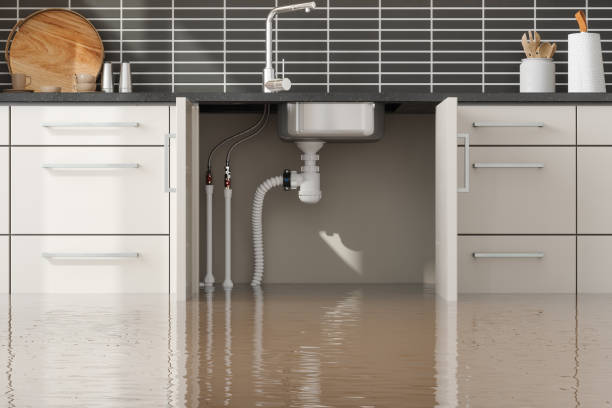 Best Water damage repair service  in Knightsen, CA
