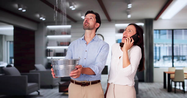 Best Ceiling water damage repair  in Knightsen, CA