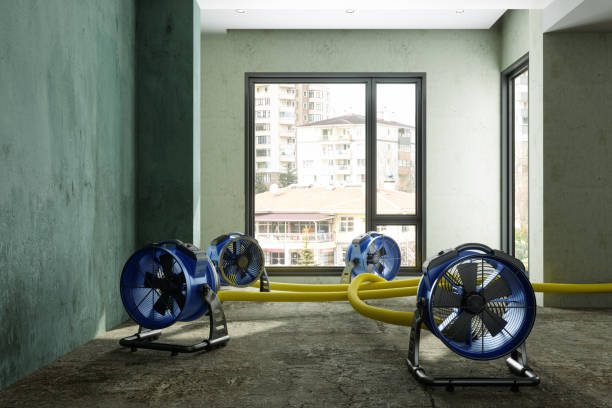 Best Carpet water damage restoration  in Knightsen, CA